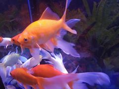 -宜昌富力皇冠假日酒店·咖啡1号西餐厅