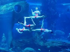 -多彩贵州城极地海洋世界