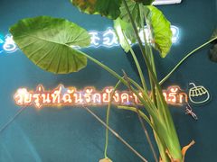 -春莱·老挝咖啡·泰式奶茶(钟楼店)