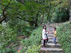 -广州市石门国家森林公园