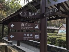 -黄陂区野村谷景区