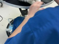 -天宠宠物医院24小时·急重症诊疗中心·全科·腔镜特色(和平分院)