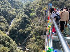 -宁波五龙潭景区