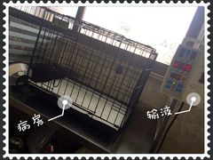 -瑞派天使宠物医院·神经外科·骨科·核磁(洛川中路店)