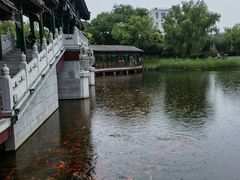 -西海子公园