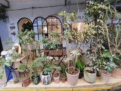 -循礼门鲜花花市(武汉循礼门店)