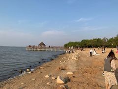 -瑶湖郊野森林公园
