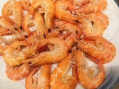 沙虾-星豪海皇村