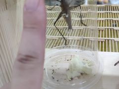 -三旗百汇商品城