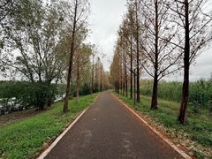-金银湖国家城市湿地公园