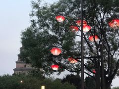 -大雁塔北广场音乐喷泉