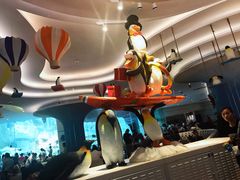 -帝企鹅自助餐厅•儿童岛•真企鹅(长隆企鹅酒店)