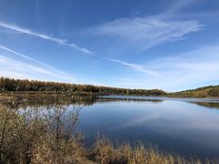 -驴世家驴肉火烧·凉皮·胡辣汤(五道口店)