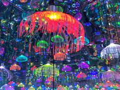 -上海梵高星空艺术馆(南京路旗舰店)