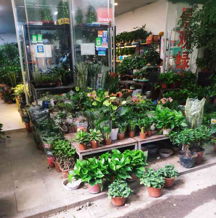 海卉花市大自然水族-"【项目】其他周末好去处哪里强,当然首选.