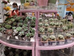 -KKV(深圳宏发大仟里店)