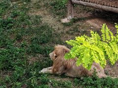 -石家庄市动物园