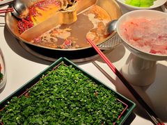 -小龙翻大江文化火锅(宽窄店)