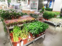 -宜家家居(哈尔滨商场店)