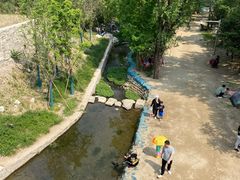 -白水寺森林公园