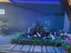 -陆琴脚艺·足浴·SPA(夫子庙店)