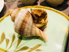 海螺-红叶日料·放题·海胆·定食(星海店)