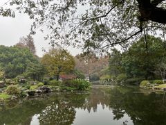 -杭州植物园