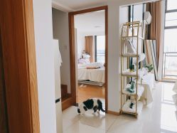 -L•野生眉半永久纹眉纹绣