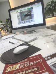 -新生植发·植养护一体