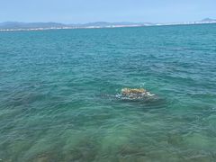 -三亚西岛海洋文化旅游区