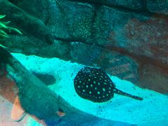 -沈阳海洋探索中心