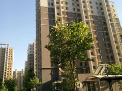 -南海家园六里-停车场