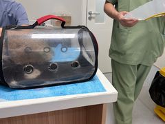 -达爱动物医院·犬猫分区·CT·复杂眼科(远洋山水分院)