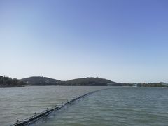 -上海月湖雕塑公园