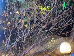 -桂满陇·海市蜃楼·黑金(国金店)