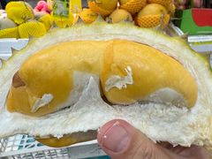 -油麻地果栏