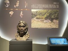 -广西壮族自治区博物馆