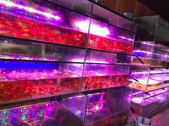 -金科花卉市场
