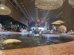 -清河半岛温泉度假酒店