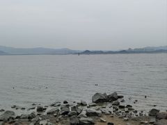 -深圳湾公园(南山区)