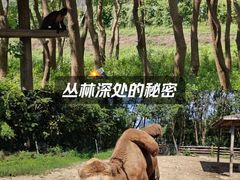 -宁波野生动物园