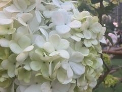 -首开·龙湖成都西宸天街