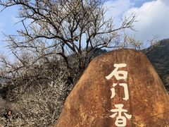 -广州市石门国家森林公园