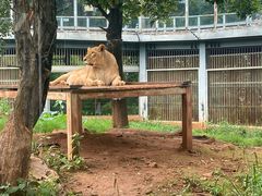-昆明动物园