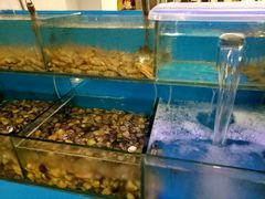 -梦幻岛海鲜自助·涮烤一体(启东申港城店)