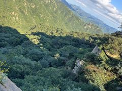 -大岭沟猕猴桃谷风景区