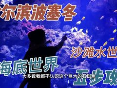 -波塞冬旅游度假区