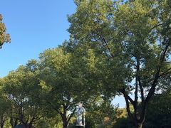 -衡山北郊宾馆-餐厅(顾村公园店)