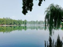 -东湖生态旅游风景区