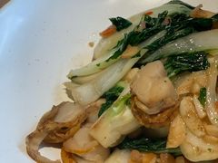 -青梅酒肆PLUS(长白仙岛北路店)